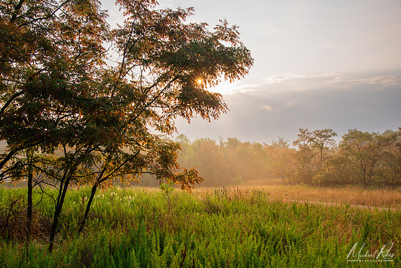 The Warm Glow of a Summer Morn (2024)