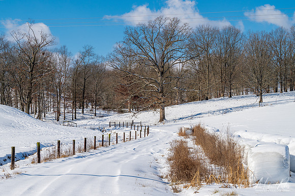 Ohio Country Road (2022)