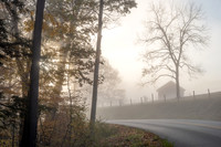 Morning Fog (2024j