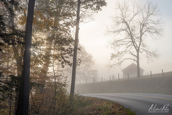 Morning Fog (2024j