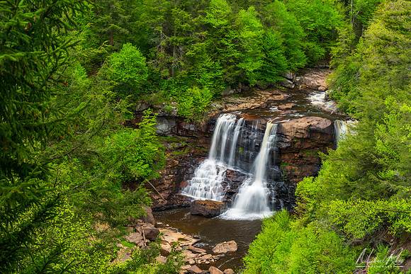 Blackwater Falls in Spring (2024)