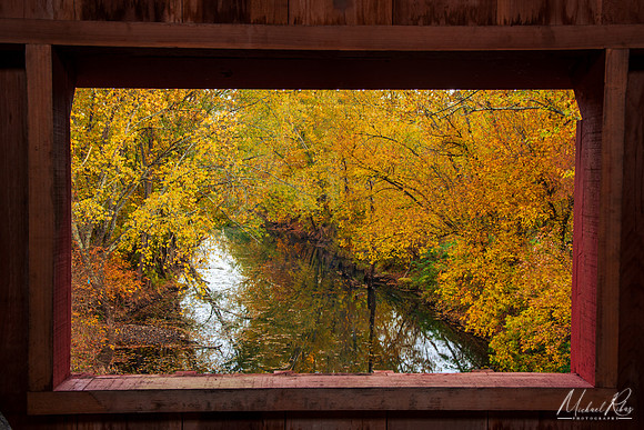 Little Musckngum River in Fall (2024)