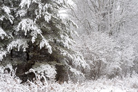 New Snowfall (2025)