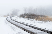 Snowstorm (2022)