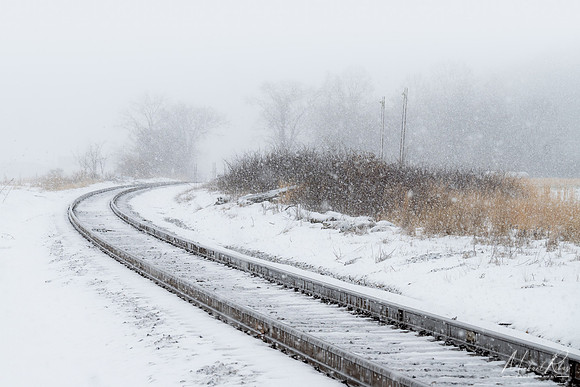 Snowstorm (2022)