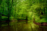 Spring Along the Hughes River at North Bend (2024)
