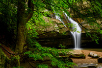 Cedar Falls (2024)