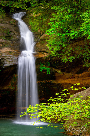 Lower Falls (2022)