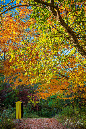 Dupont Nature Trails (2022)