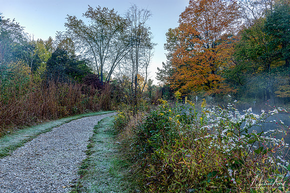 Dupont Nature Trails Frosty Morning (2022)