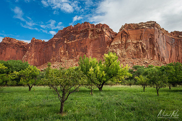 Apple Orchard at Capitol Reef NP (2025)