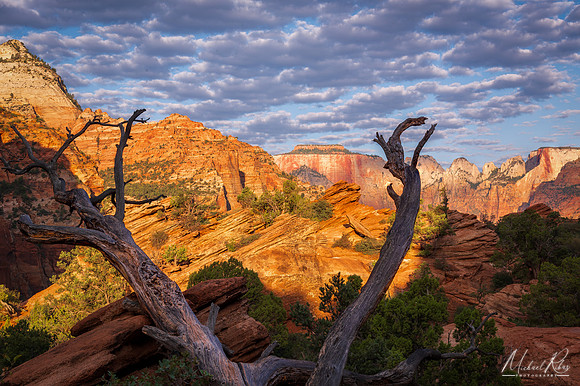 Zion Overlook (2025)