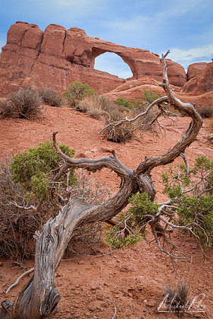 Skyline Arch (2025)