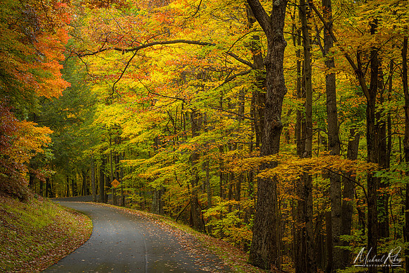 Babcock State Park (2022)