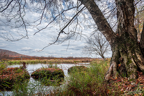 Blackwater River (2022)