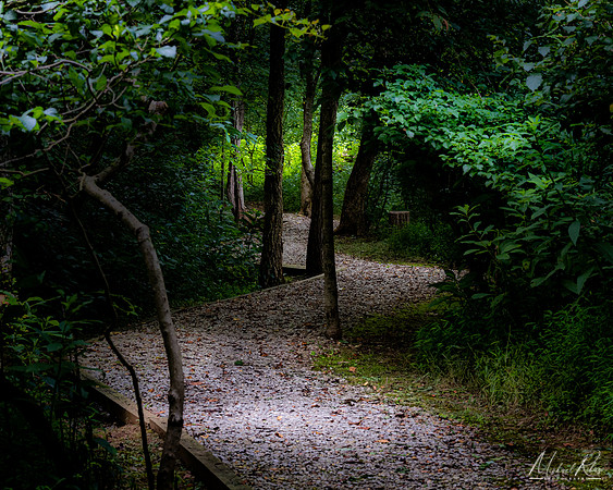 Quiet Walkway (2022)