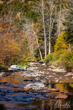 Gandy Creek (2025)