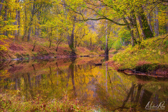 Hughes River in Fall (2025)