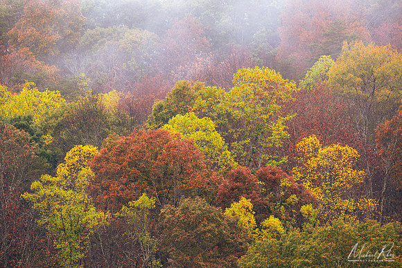 Misty Fall Foliage at Mountwood Park (2025)