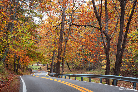Mountwood Park Road in Fall (2025)