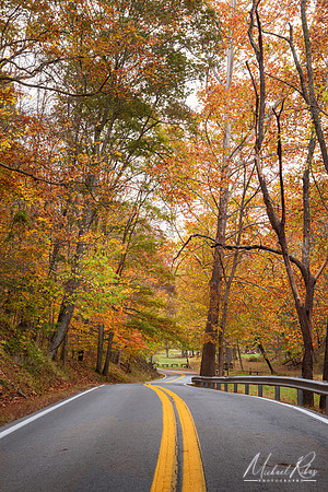 Mountwood Park Road in Fall (2025)