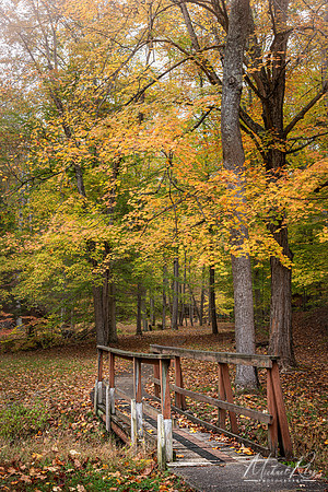 Mountwood Park (2025)