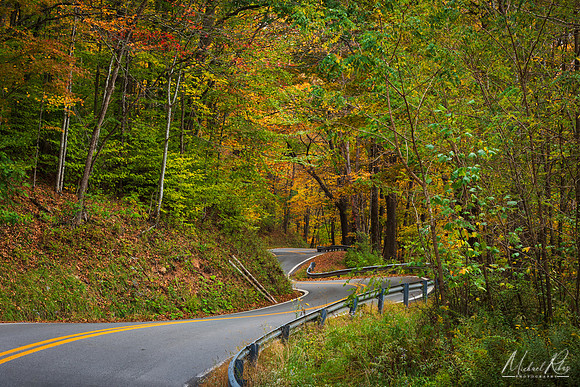 Winding Road (2025)