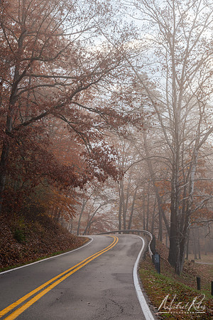 Mountwood Foggy Road (2025)