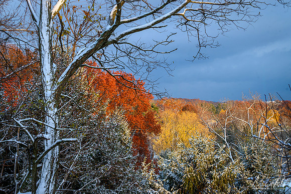 Lat Fall Foliage and Snow (2025)