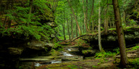 Old Man's Cave Gorge (2025)