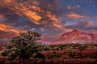 Early Morning at Capitol Reef NP (2025)