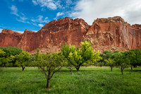 Apple Orchard at Capitol Reef NP (2025)