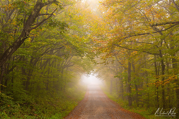 Tunnel View, Dolly Sods (2025)