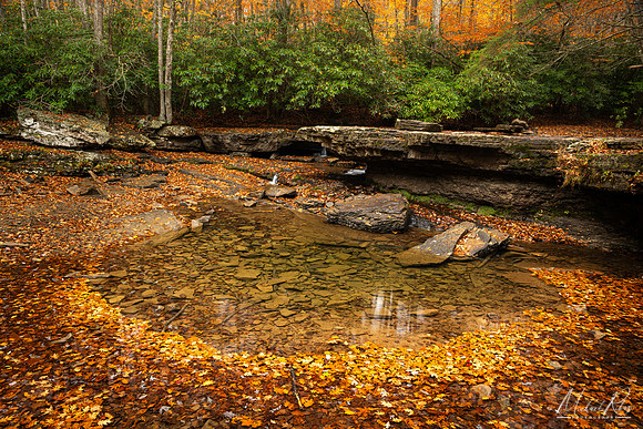 A Dry Marsh Fork Falls (2025)
