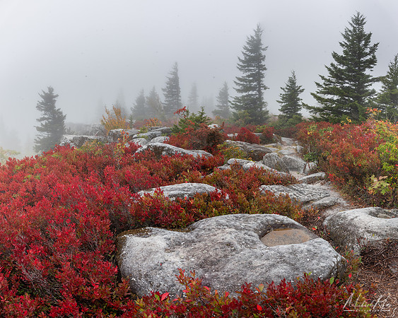 Bear Rocks Autumn Mist and Fog (2024)