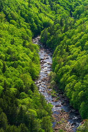 Blackwater River in Spring (2024)