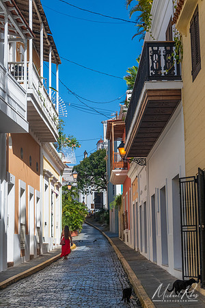 Cat Alley, San Juan (2025)