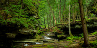 Old Man's Cave Gorge (2025)