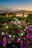 Point Park Summer Flowers (2025)