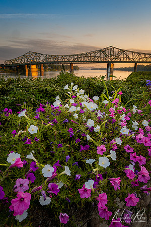 Point Park Summer Flowers (2025)