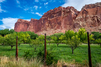 Fruit Orchard (2025)
