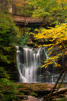 Elakala Falls (2025)