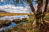 Blackwater River at Canaan Valley (2025)