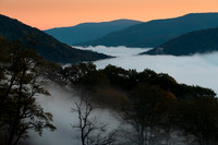 Morning Fog in the Allegheny Mountains (2025)