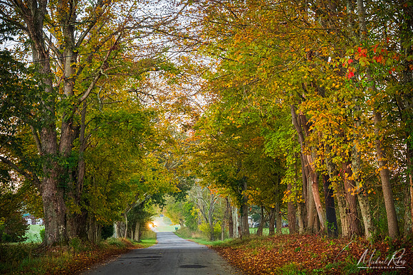 New England Ridge Road in Fall (2025)