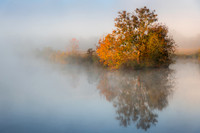 Ohio River Backwater (2025)
