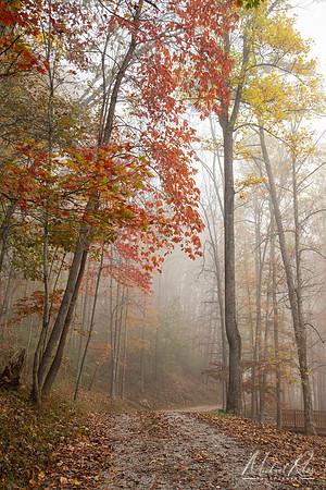 Mountwood Country Road (2025)