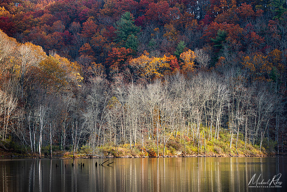 North Bend Lake Island (2025)