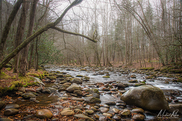 Little Pigeon River, Great Smoky Mountains (2025)