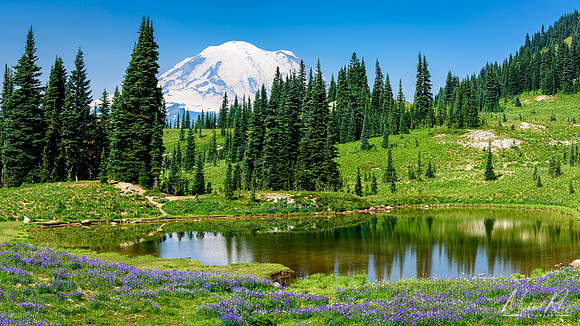 Little Tipsoo Lake Pano (2017)